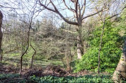 Images for Hastings Road, BATTLE, East Sussex