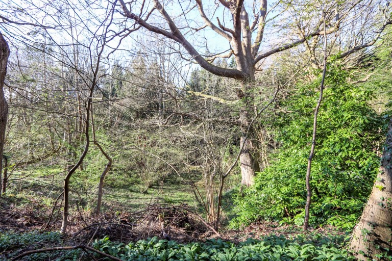 Images for Hastings Road, BATTLE, East Sussex