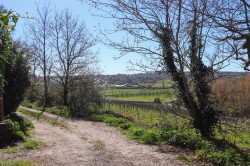 Images for Bodiam, East Sussex