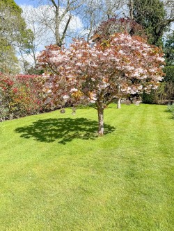 Images for Wootton Farm Road, Wootton, New Milton, BH25