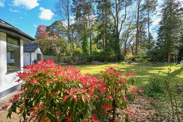 Images for St Ives Wood, St Ives, Ringwood, BH24