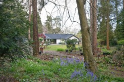 Images for St Ives Wood, St Ives, Ringwood, BH24