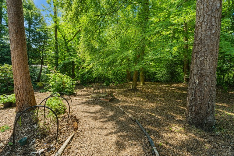 Images for St Ives Wood, St Ives, Ringwood, BH24