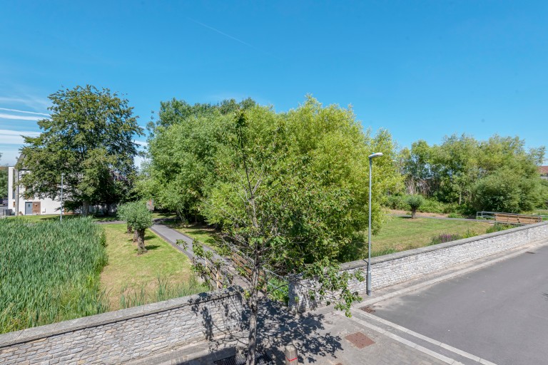 Images for Lime Tree Square, Street, Somerset