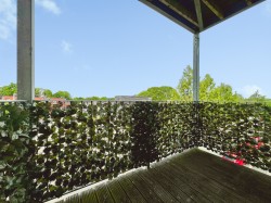 Images for Lime Tree Square, Street, Somerset