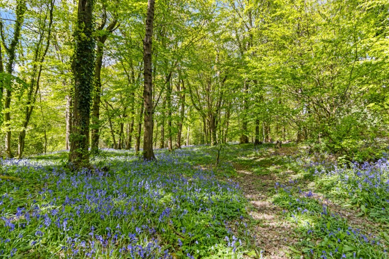 Images for Hastings Road, Battle, East Sussex