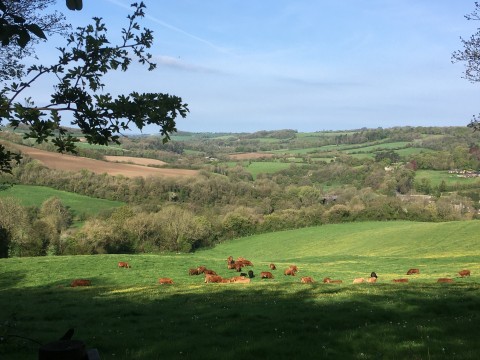 Click the photo for more details of Midford, Bath
