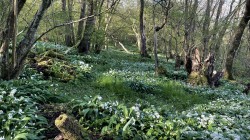 Images for Midford, Bath