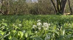 Images for Midford, Bath