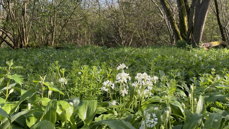 Images for Midford, Bath