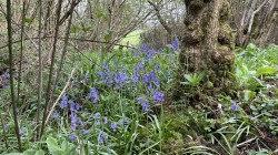 Images for Midford, Bath