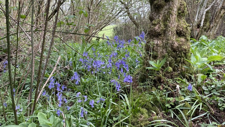 Images for Midford, Bath