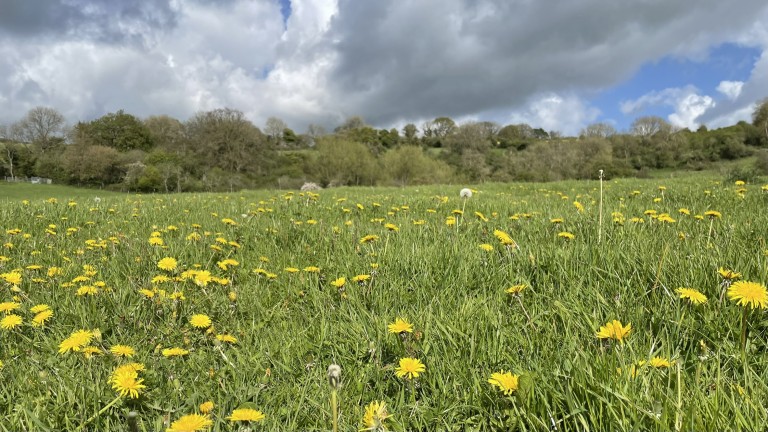 Images for Midford, Bath