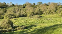 Images for Midford, Bath