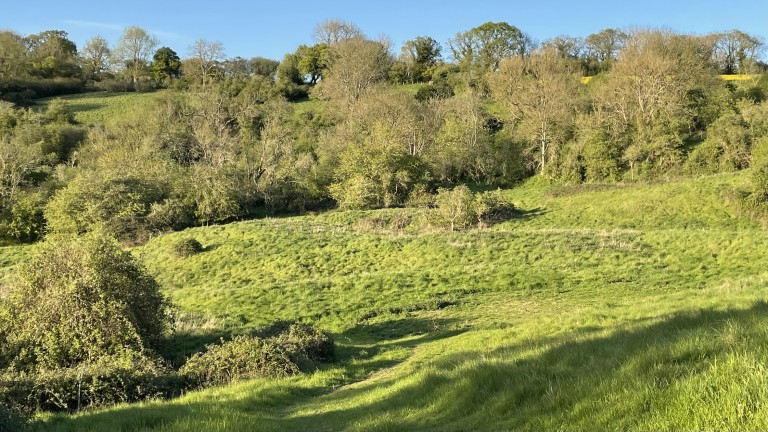Images for Midford, Bath