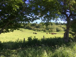 Images for Midford, Bath