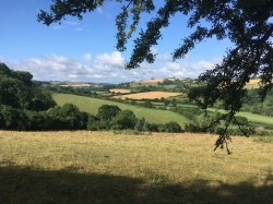 Images for Midford, Bath