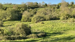 Images for Midford, Bath