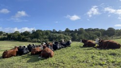 Images for Midford, Bath