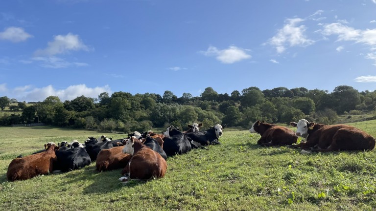 Images for Midford, Bath