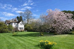 Images for Bank, Lyndhurst, SO43