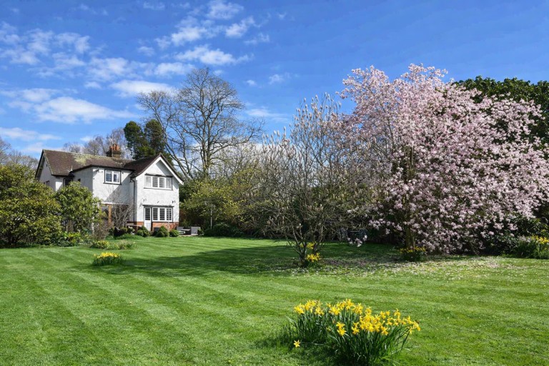 Images for Bank, Lyndhurst, SO43