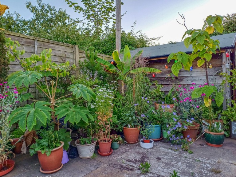 Images for Ninfield Road, Bexhill-on-Sea, East Sussex