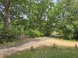 Images for Mill Lane, Burley, Ringwood, BH24
