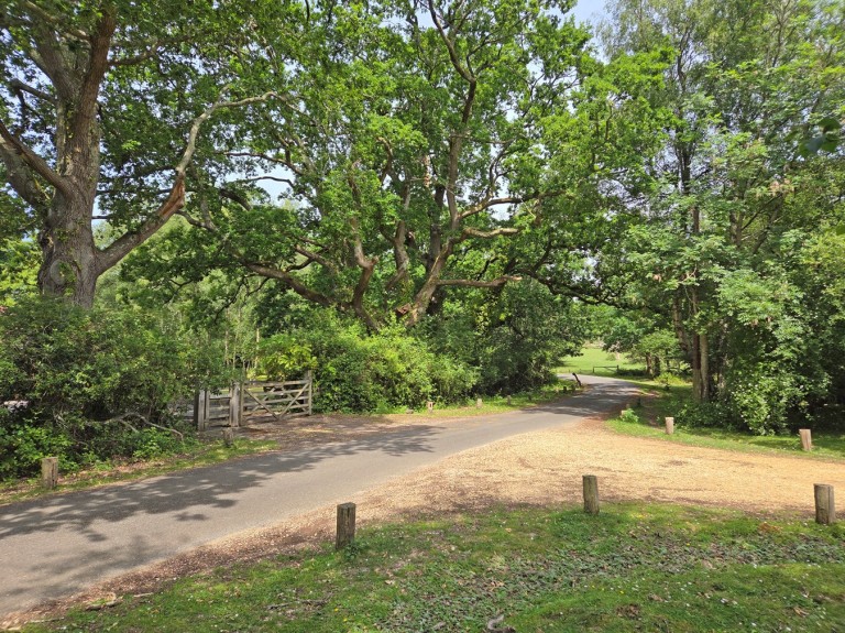Images for Mill Lane, Burley, Ringwood, BH24