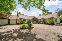 Images for Mill Lane, Burley, Ringwood, BH24