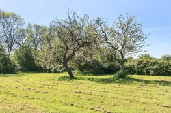 Images for Cornmoor Lane, East Huntspill, Highbridge, Somerset