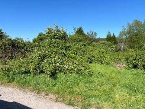 Click the photo for more details of Lot B - Saxon Close, Westbury, Somerset