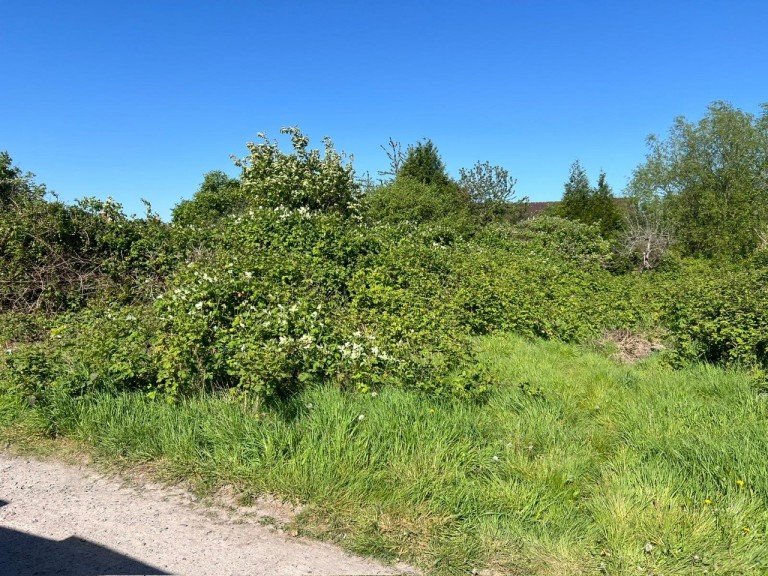 Images for Lot B - Saxon Close, Westbury, Somerset