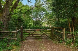 Images for Bisterne Close, Burley, Ringwood, BH24