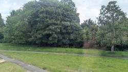 Images for Keward Walk, Wells, Somerset