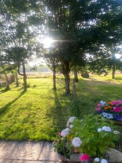 Images for The Green, Catsfield, East Sussex
