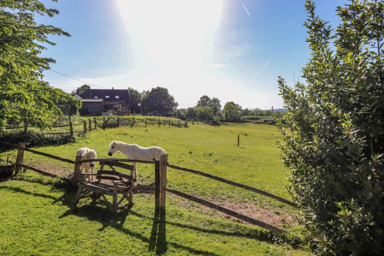 Images for Ewhurst Green, East Sussex