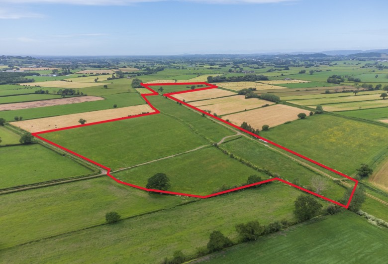 Click the photo for more details of Hearty Moor, West Pennard, Somerset