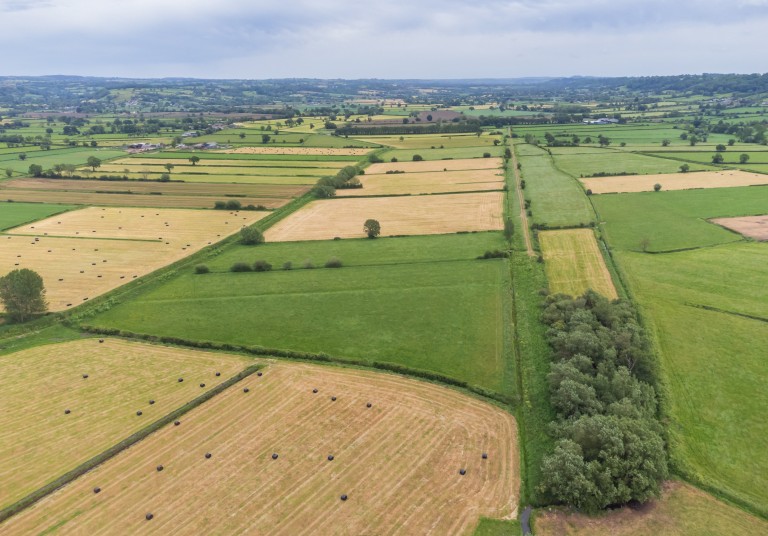 Images for Hearty Moor, West Pennard, Somerset