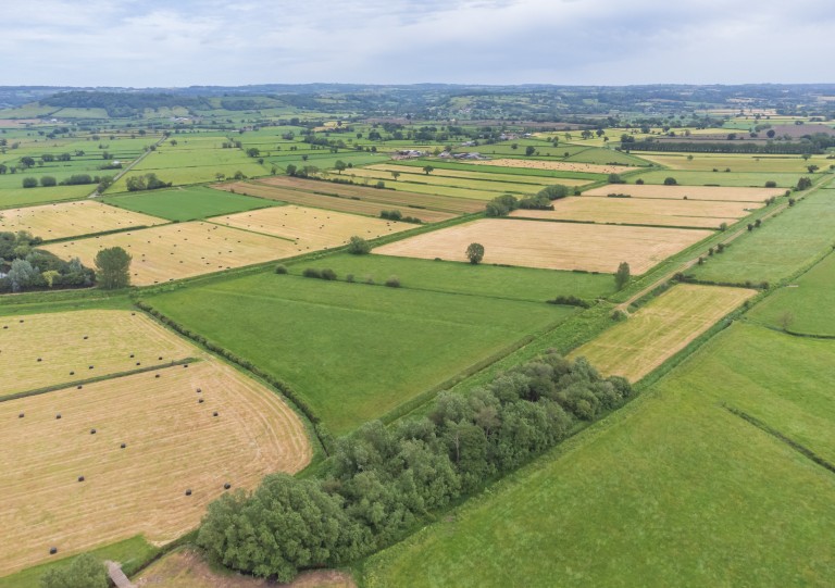 Images for Hearty Moor, West Pennard, Somerset