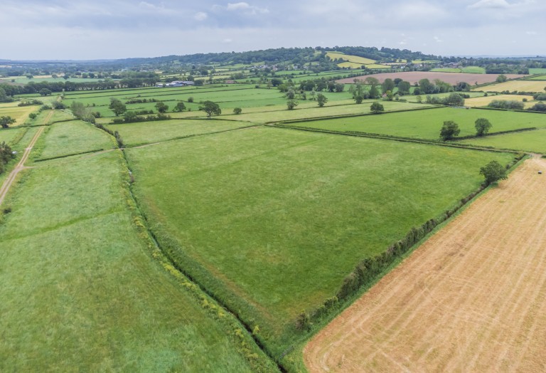 Images for Hearty Moor, West Pennard, Somerset