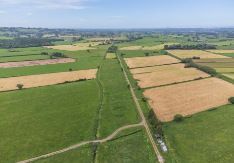 Click the photo for more details of Hearty Moor, West Pennard, Somerset