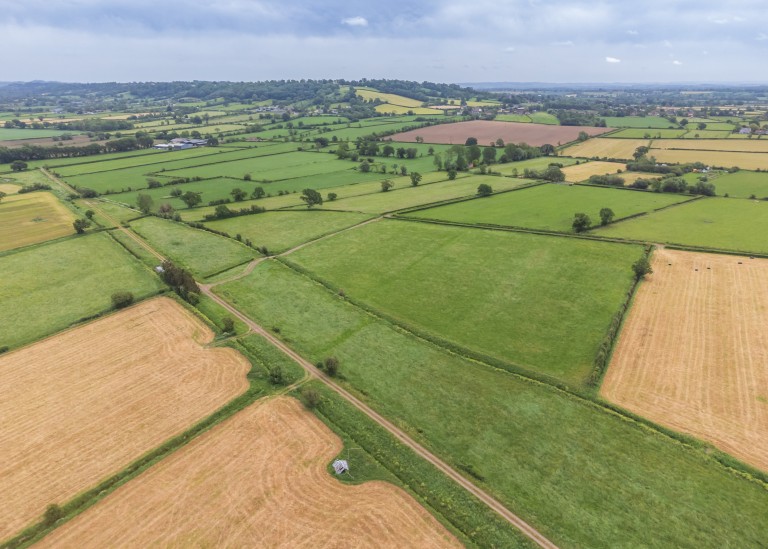 Images for Hearty Moor, West Pennard, Somerset