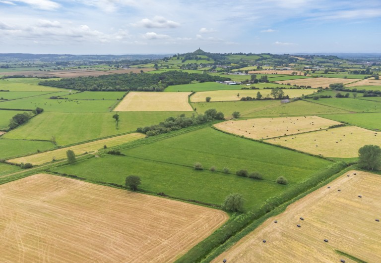 Images for Hearty Moor, West Pennard, Somerset