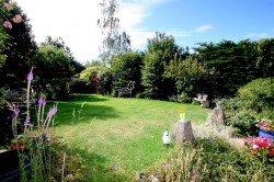 Images for WATLINGTON