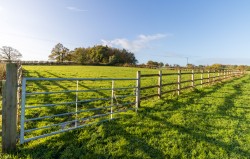 Images for Smallholding set in 22 acres., Witham Friary, Somerset