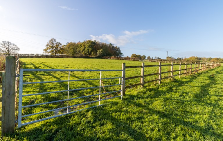 Images for Smallholding set in 22 acres., Witham Friary, Somerset