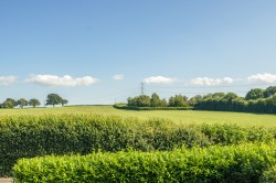 Images for Coxley, Wells, Somerset