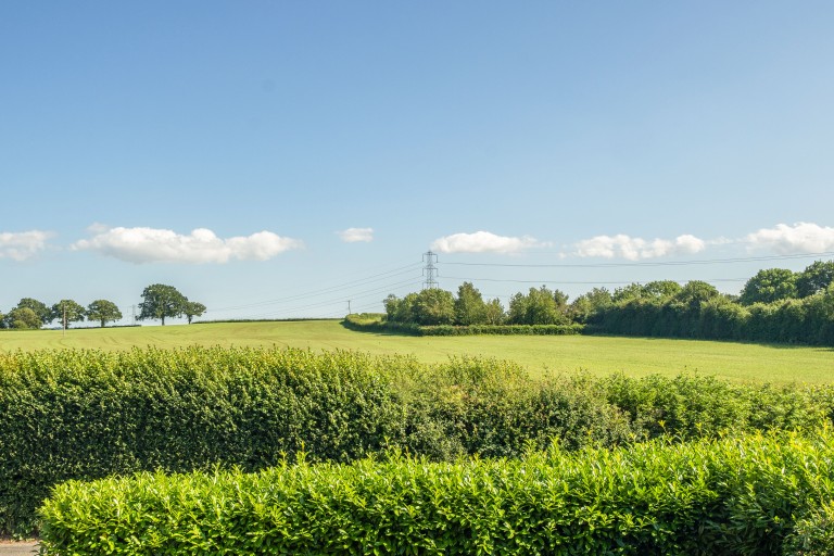 Images for Coxley, Wells, Somerset