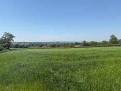 Images for Withial, East Pennard, Somerset